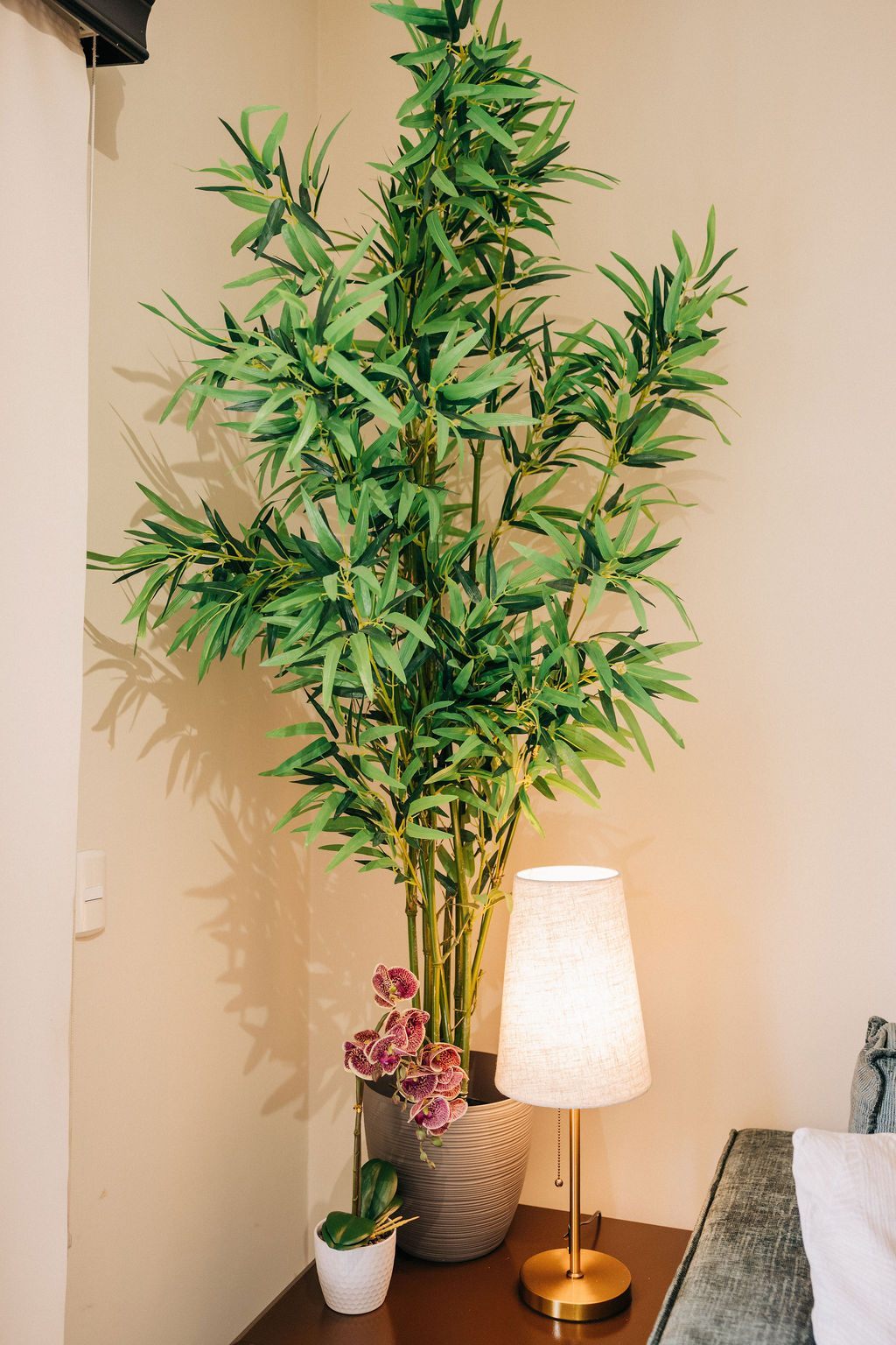 Plant and warm lamp beside the sofa