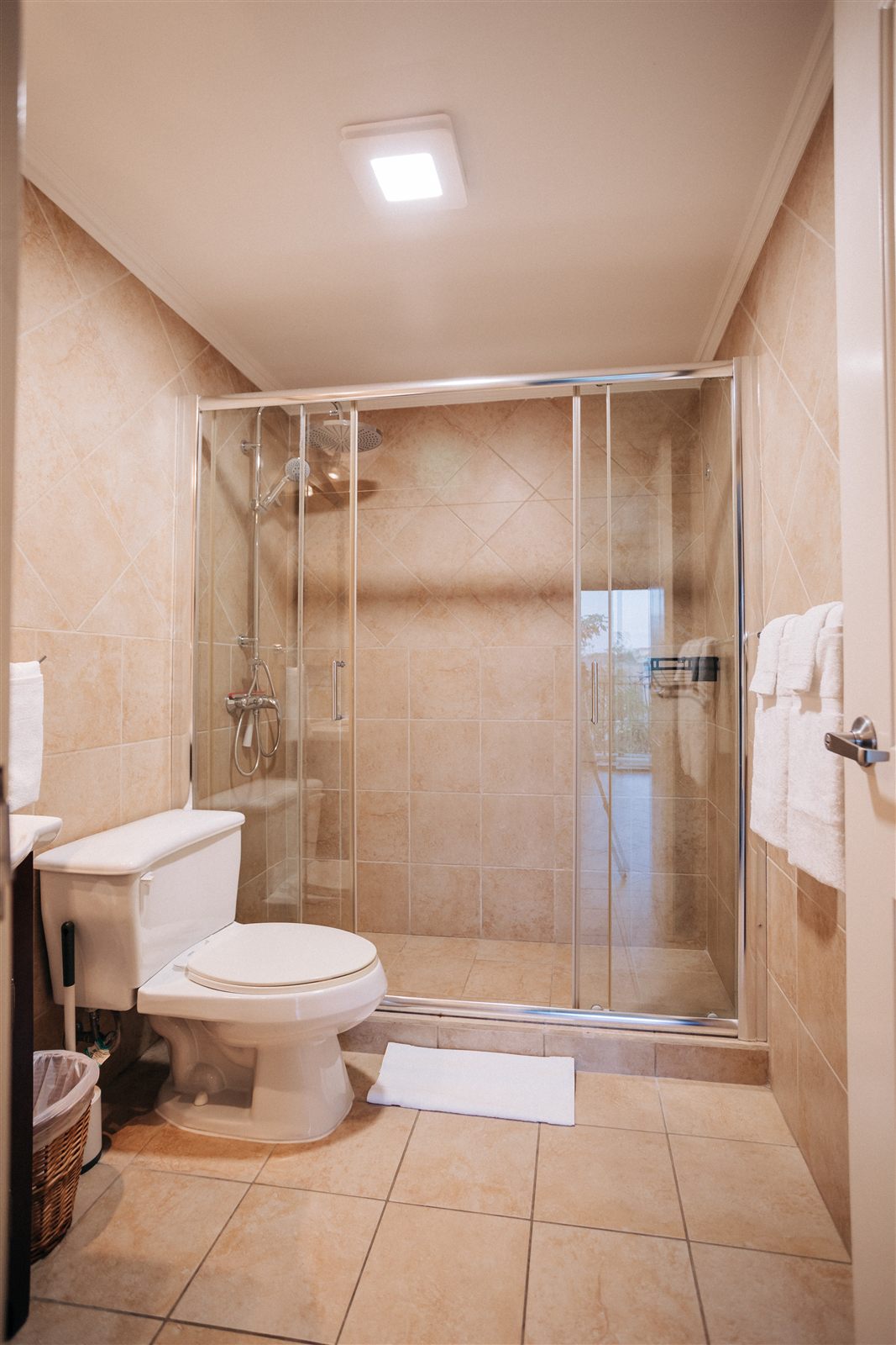 Walk-in shower in the main ensuite