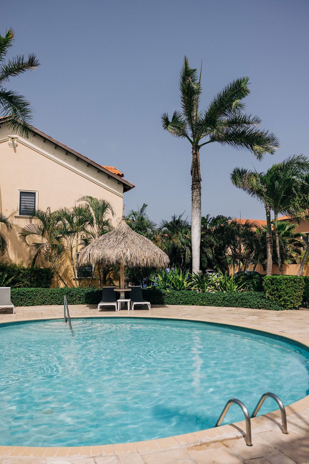 Quiet community pool beneath palms