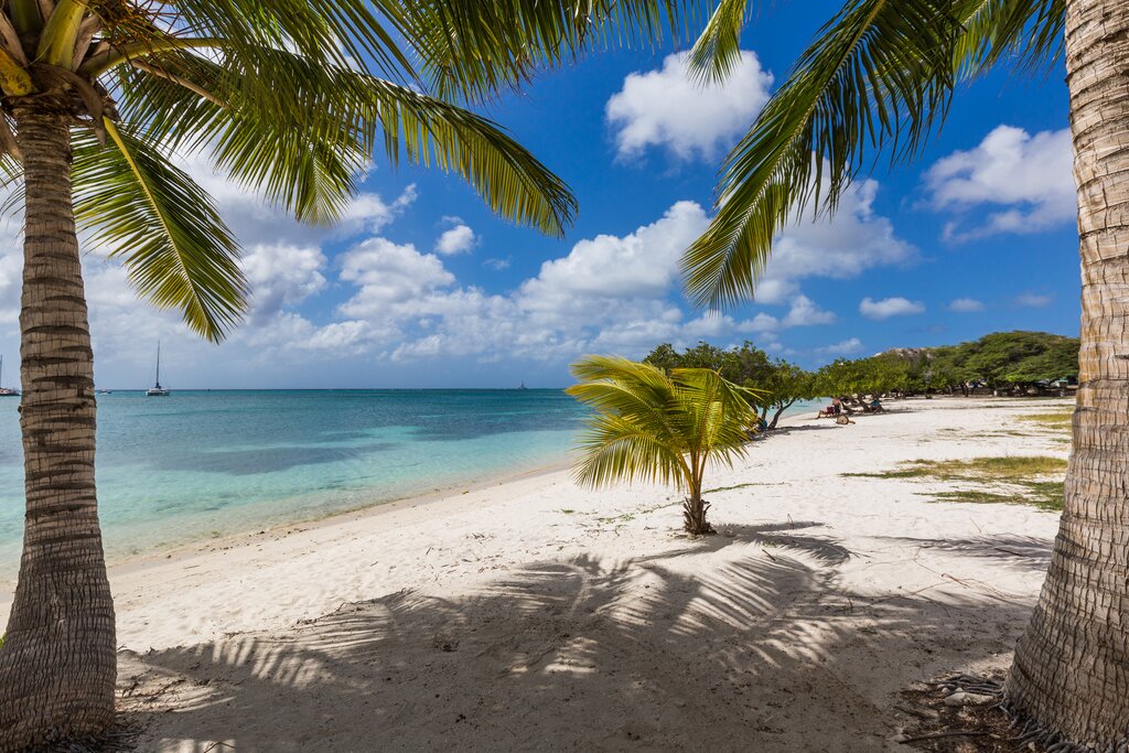 Surfside Beach framed by palms and calm turquoise water